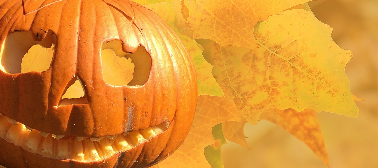 Découvrez les origines et les bons plans Halloween ! 1 Découvrez les origines et les bons plans Halloween !