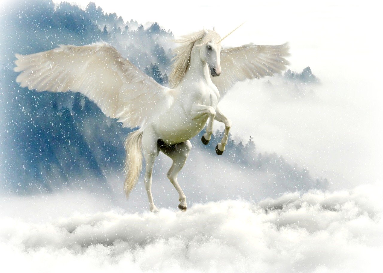Chacun sa licorne ! 1 Chacun sa licorne !